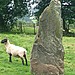 <b>Harold's Stones</b>Posted by cerrig