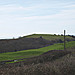 <b>Hammiton Hill</b>Posted by formicaant