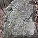 <b>Rio Cavallera, eighth stone (altar stone)</b>Posted by Ligurian Tommy Leggy