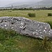 <b>Fallen stones near Milltown Milestone</b>Posted by bogman