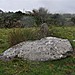 <b>Fallen stones near Milltown Milestone</b>Posted by bogman