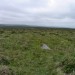 <b>Butterdon Hill cairn circle</b>Posted by thesweetcheat