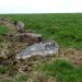 <b>Stall Moor Stone Row</b>Posted by thesweetcheat