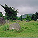 <b>Kenmare</b>Posted by GLADMAN