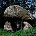 <b>The Hanging Stone</b>Posted by GLADMAN