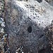 <b>Lamington Park Long Cairn</b>Posted by strathspey