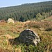 <b>Nant Croes-Y-Wernen</b>Posted by postman