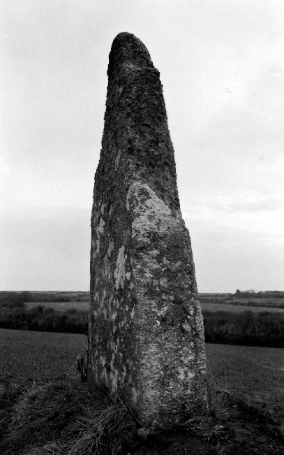 The Blind Fiddler (Standing Stone / Menhir) by pure joy