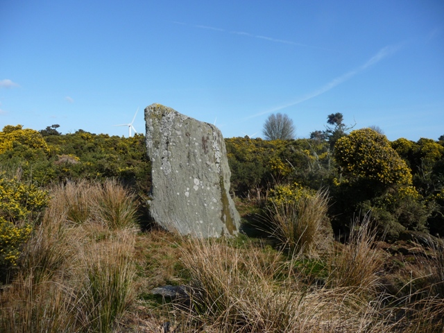 Kempstone Hill (Standing Stones) by drewbhoy
