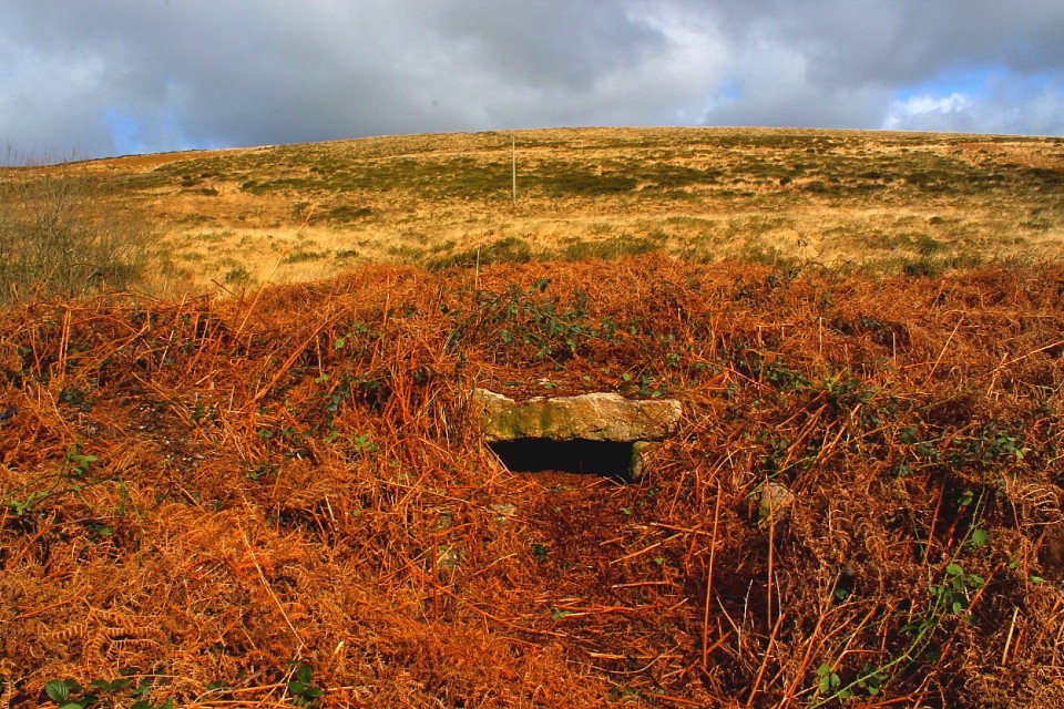 Nicholaston long cairn (Burial Chamber) by GLADMAN