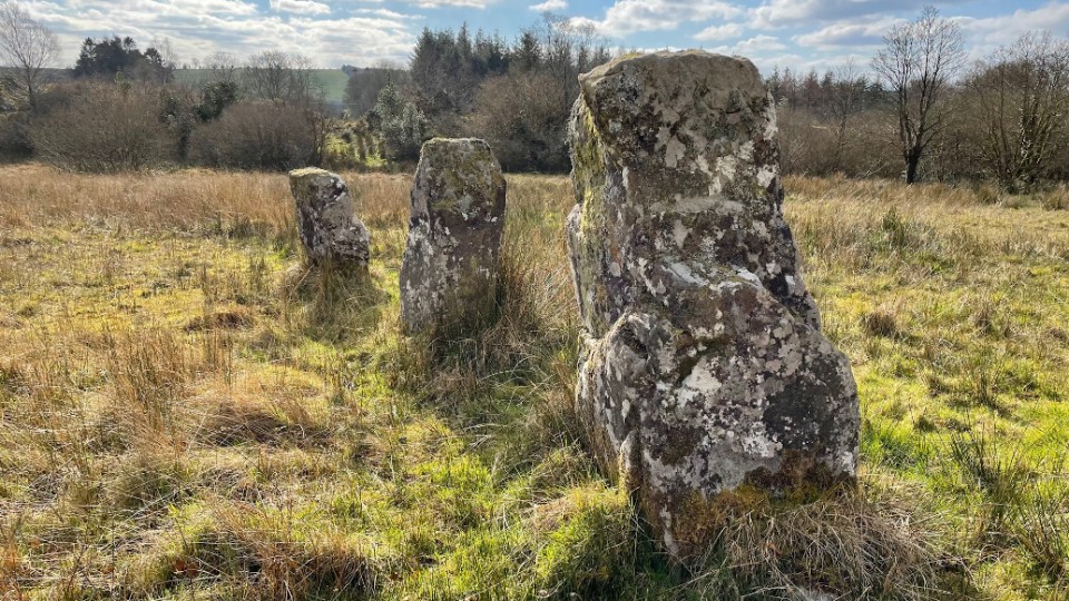 Montiaghroe - Stone Row West (Stone Row / Alignment) by ryaner
