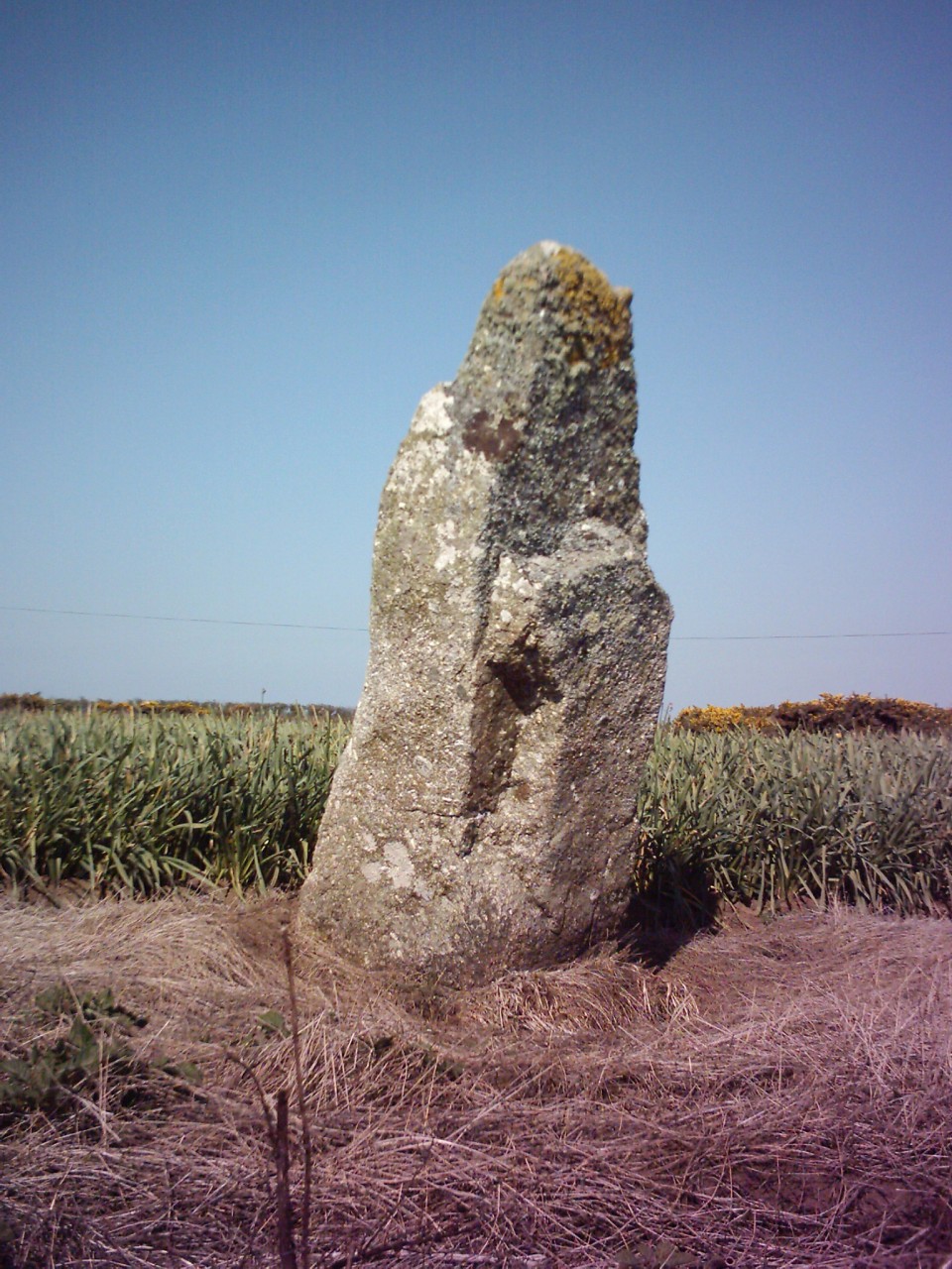 Trevorgans Menhir (Standing Stone / Menhir) by Chris Bond