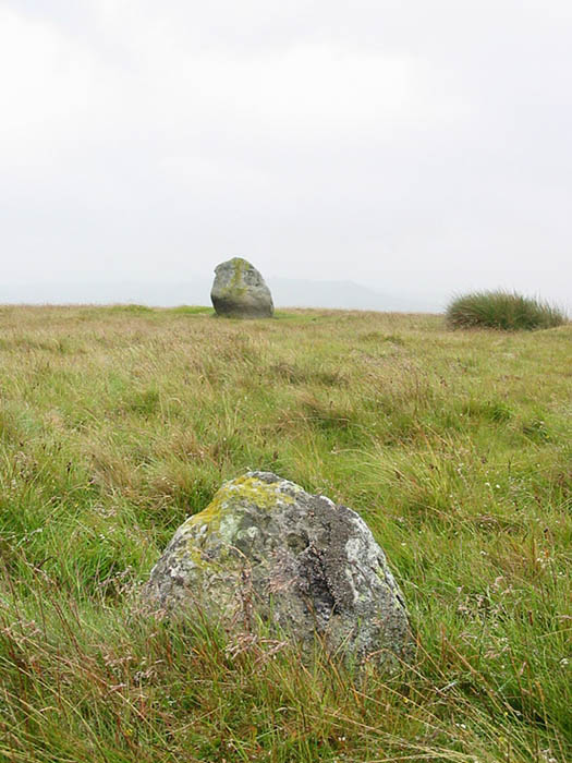 The Cop Stone (Standing Stone / Menhir) by stubob