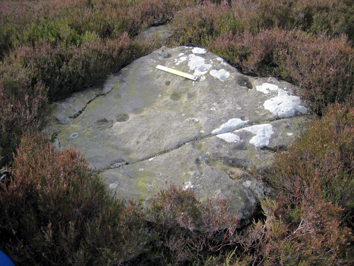 Crocky's Heugh (Cup Marked Stone) by rockandy