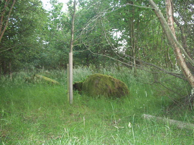 Blackfaulds Stone Circle (Stone Circle) by scotty