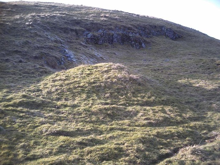Bizzyberry Hill (Hillfort) by Howburn Digger