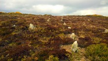 <b>Hill O'Many Stanes</b>Posted by carol27