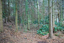 <b>Nesscliffe Hill Camp</b>Posted by postman