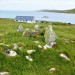 <b>Vatersay</b>Posted by drewbhoy