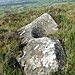 <b>Baltinglass Hill 'Basin' Stone</b>Posted by ryaner