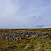 <b>Rorie Gill's Cairn</b>Posted by rockartwolf