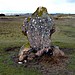 <b>The Broken Menhir</b>Posted by baza